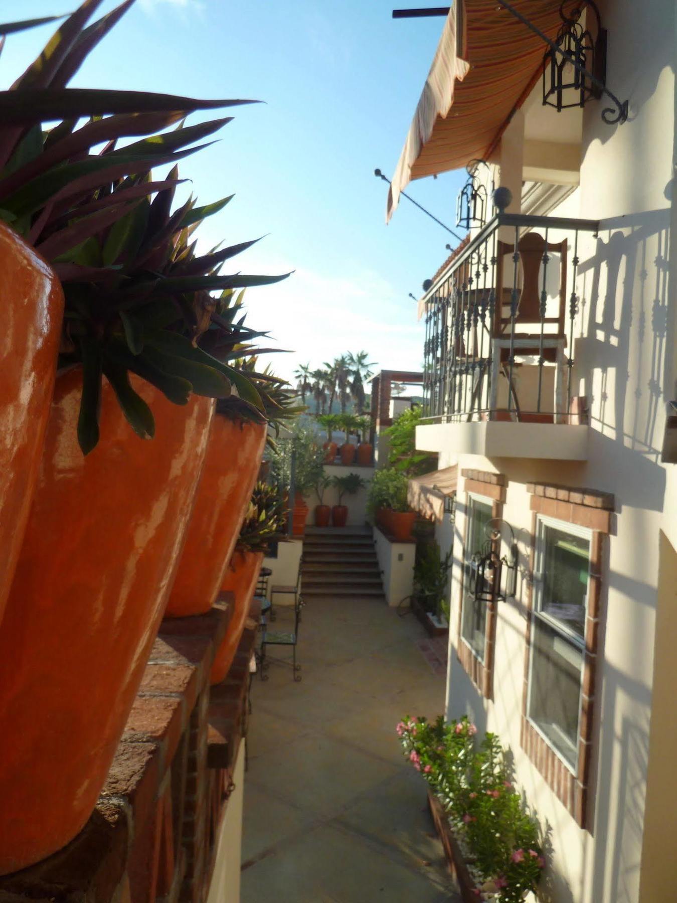 The Suites By Villa Valentina San José del Cabo Buitenkant foto