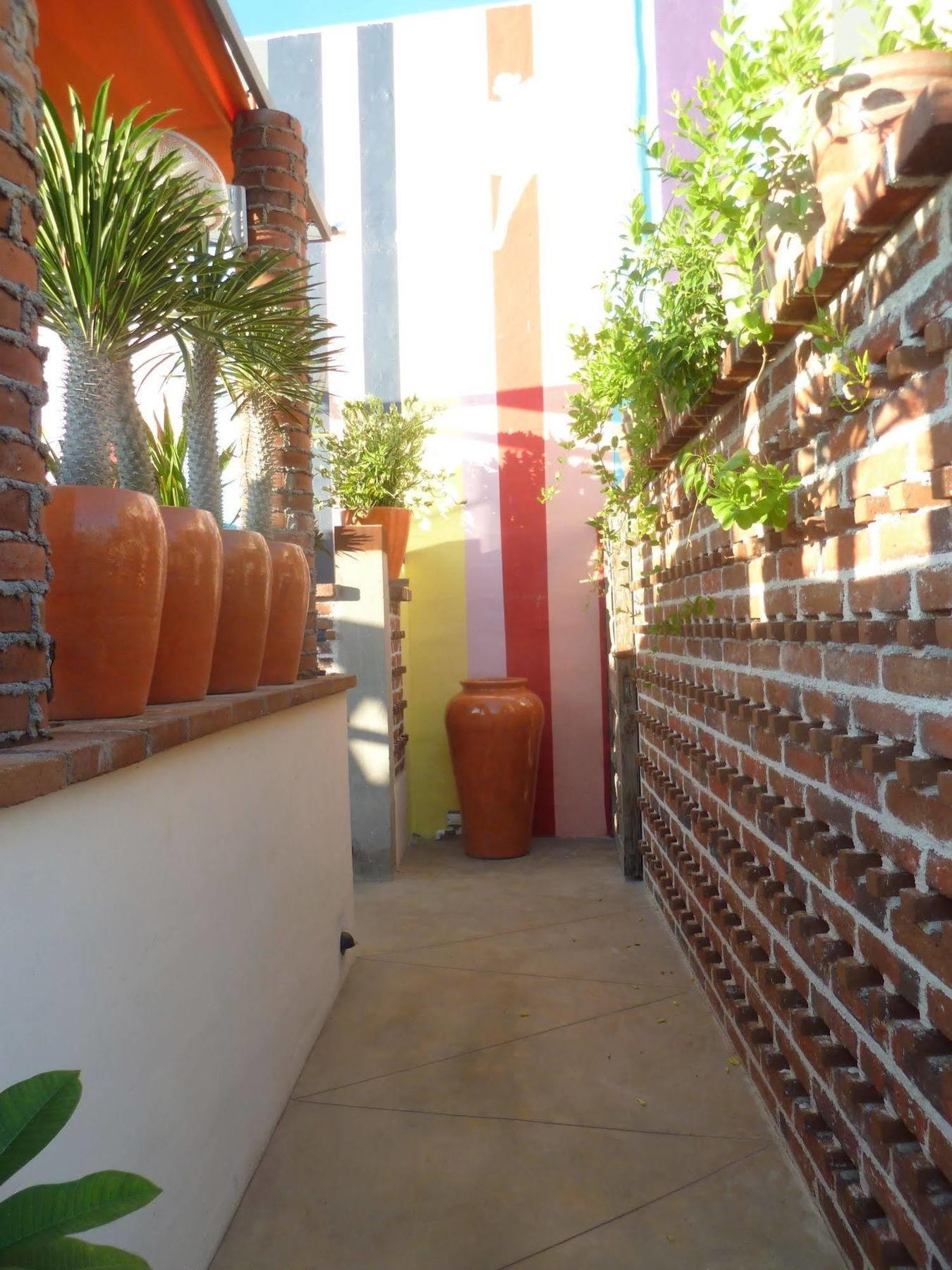 The Suites By Villa Valentina San José del Cabo Buitenkant foto